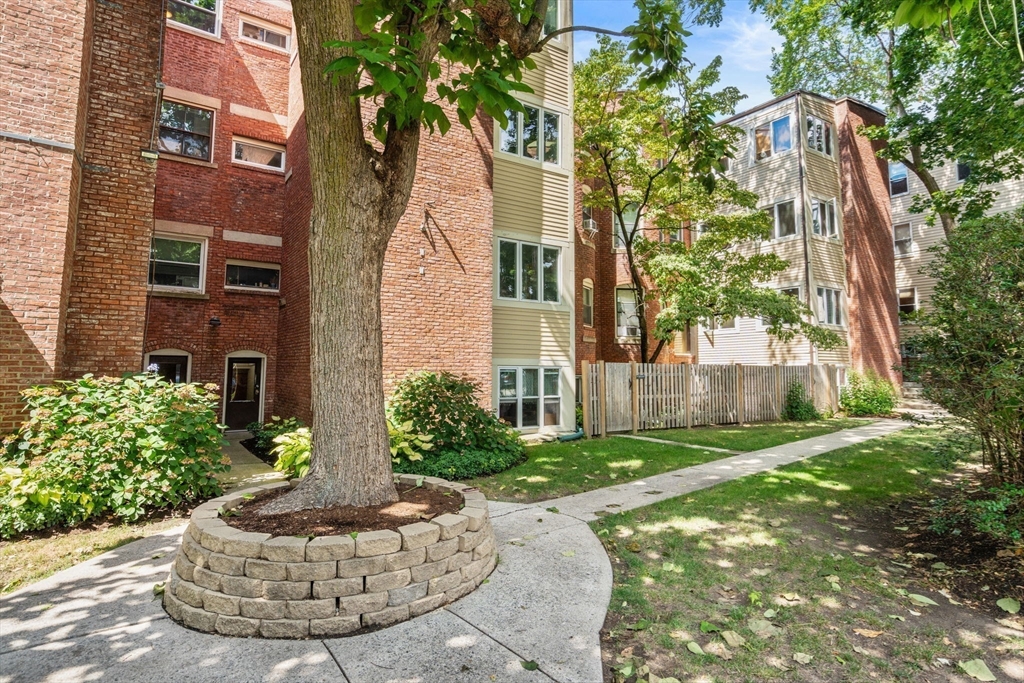 37 St Paul Street, Unit 3 Brookline, MA 02446 - Photo 10 of 13 a view of a house with a yard