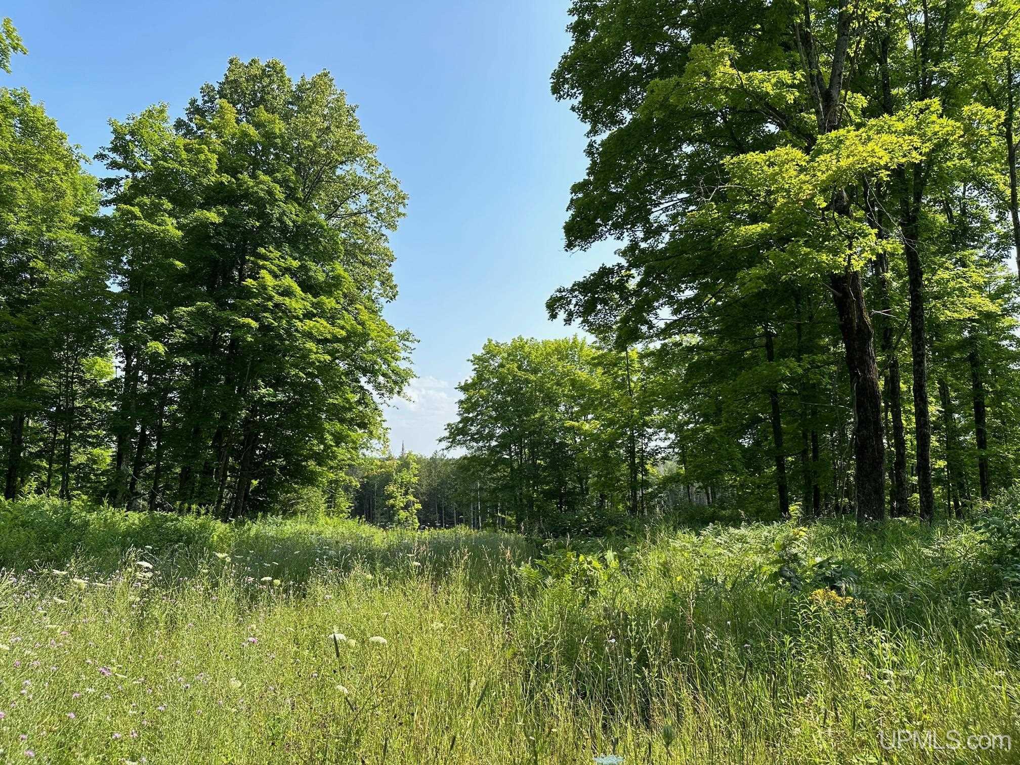426 Rd Felch Mi 49831 Road Hancock, MI 49930 - Photo 1 of 10 Gallery Image 1