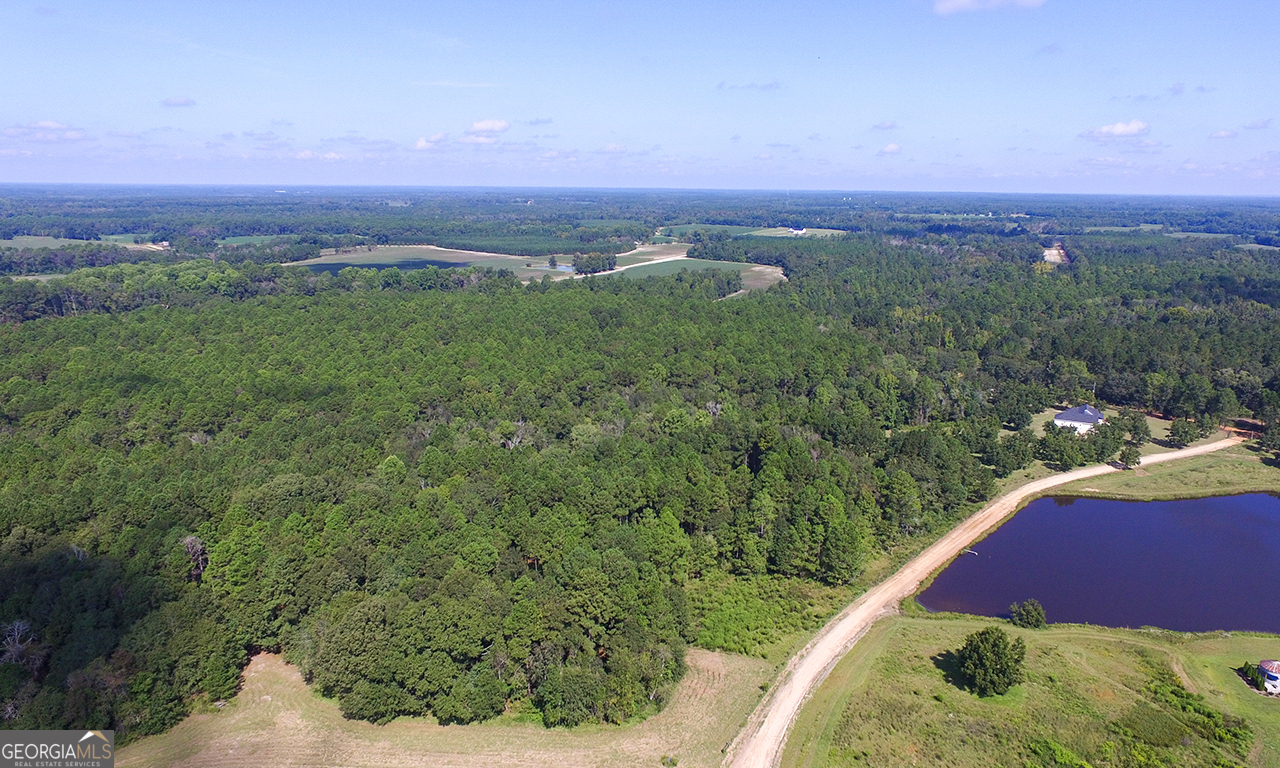 2120 Banks Dairy Road Statesboro, GA 30450 - Photo 4 of 22