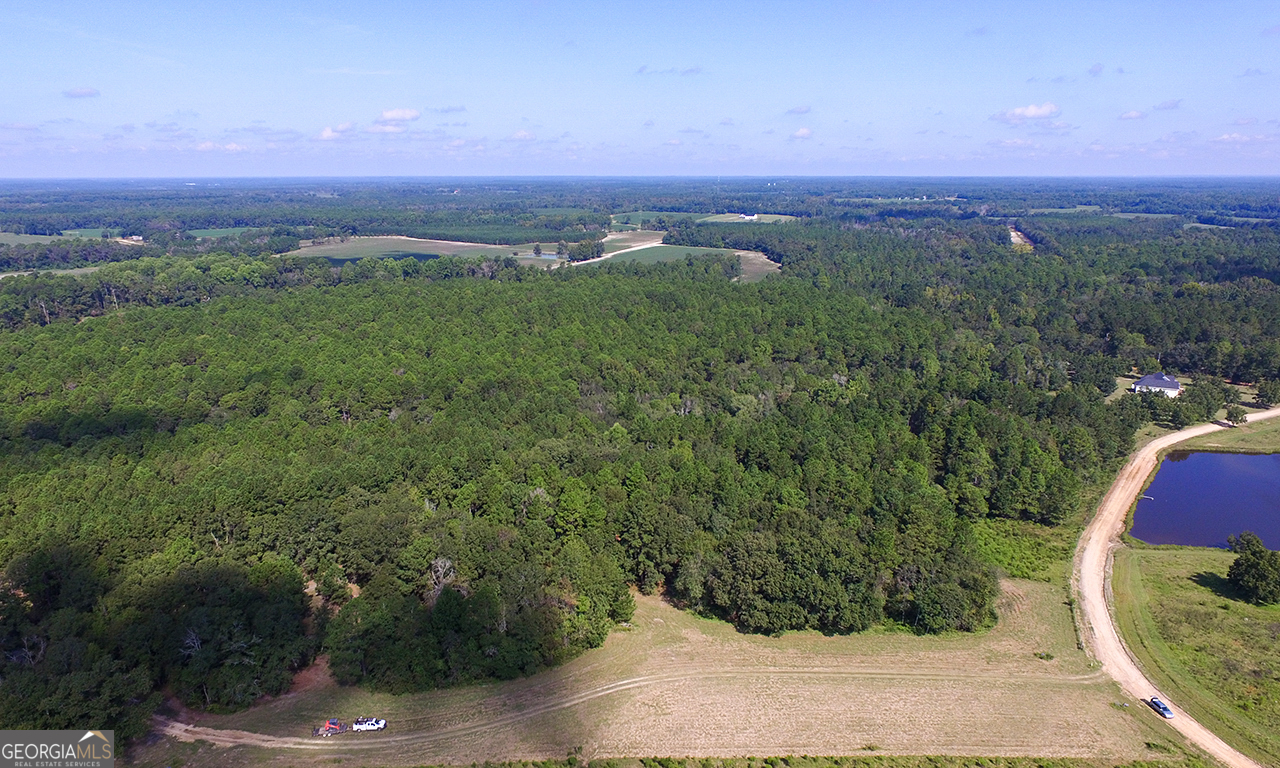 2120 Banks Dairy Road Statesboro, GA 30450 - Photo 5 of 22