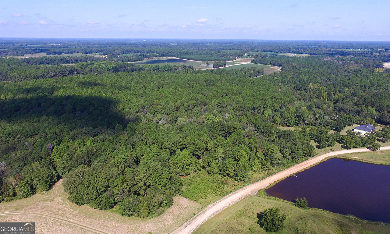 2120 Banks Dairy Road Statesboro, GA 30450 - Photo 9 of 22