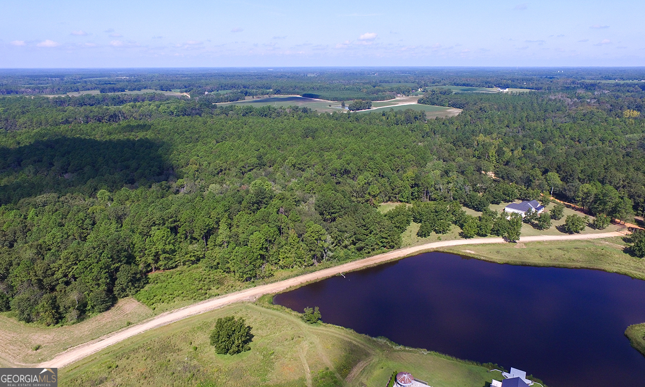 2120 Banks Dairy Road Statesboro, GA 30450 - Photo 10 of 22