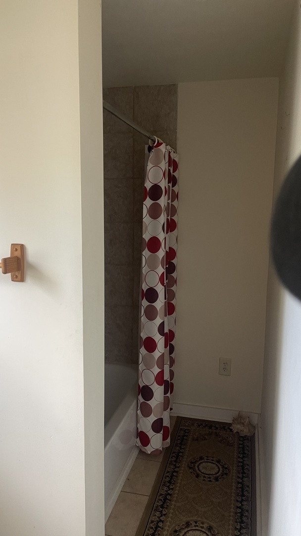 1026 South 4th Street Aurora, IL 60505 - Photo 11 of 20