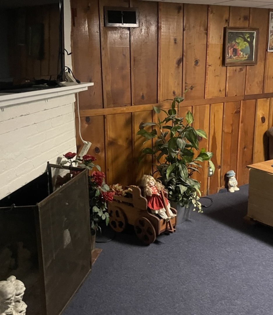 1026 South 4th Street Aurora, IL 60505 - Photo 16 of 20