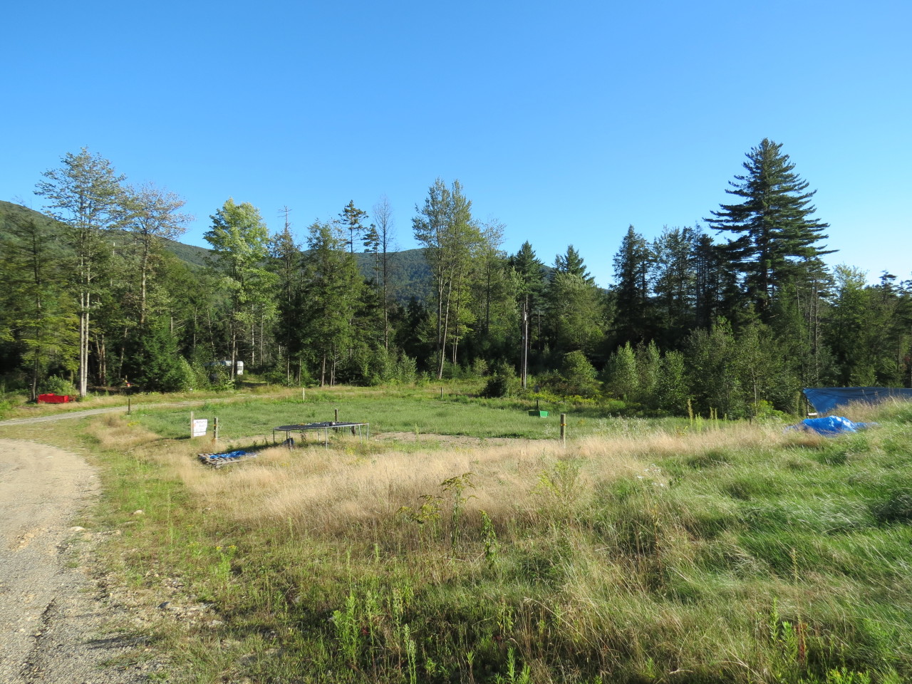 270 Harley Road Stamford, VT 05352 - Photo 1 of 9 a view of outdoor space with trees all around