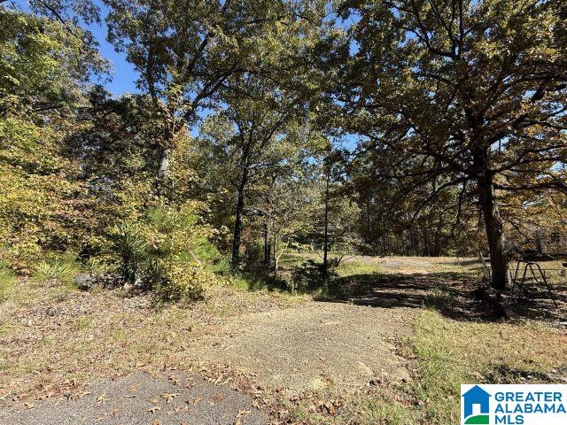 655 Buddy Vines Camp Road, Unit 1 Bessemer, AL 35023 - Photo 8 of 9