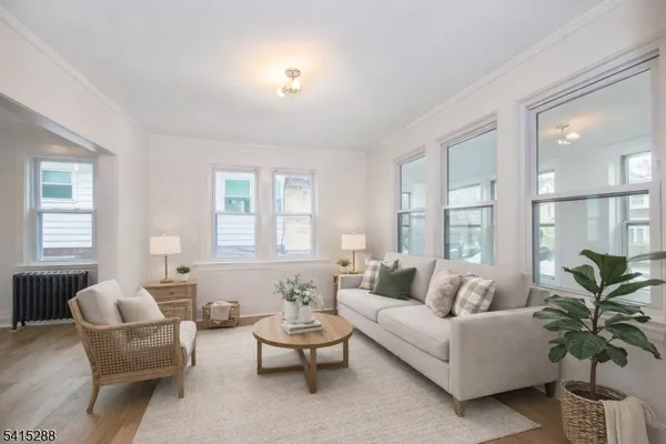 a living room with furniture and a potted plant