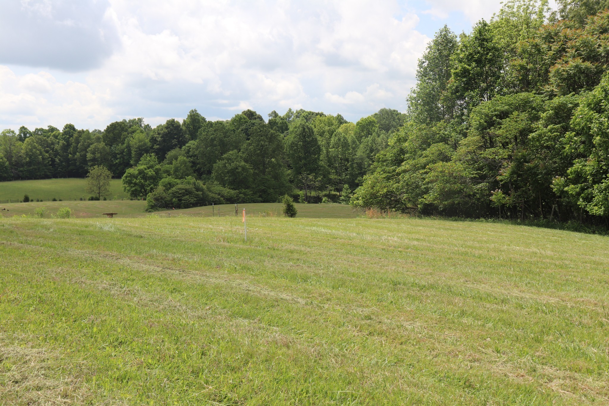 13 Sadlers Chapel Road Lafayette, TN 37083 - Photo 15 of 20