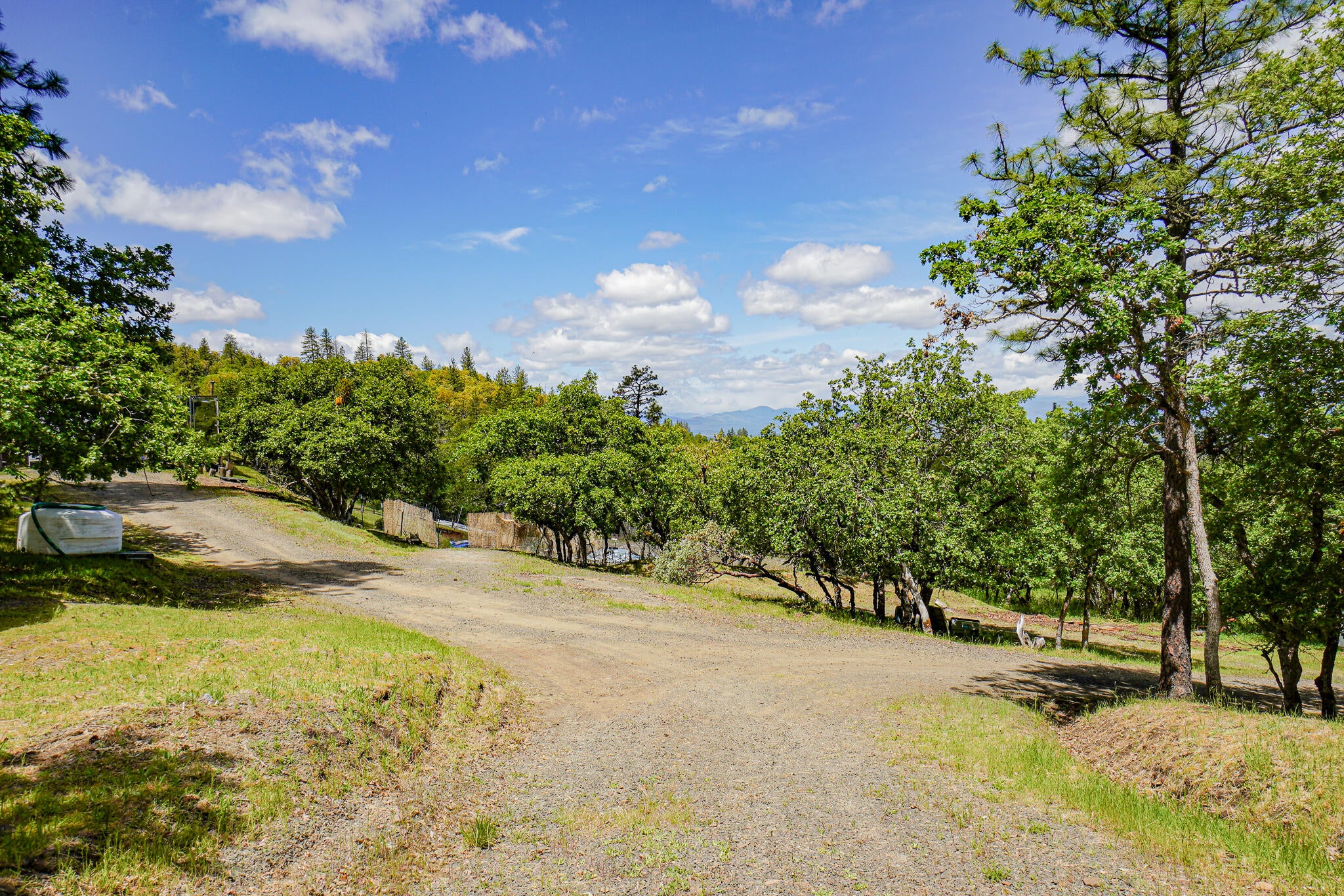 1729 Wren Ridge Drive Eagle Point, OR 97524 - Photo 15 of 21 DSC09574