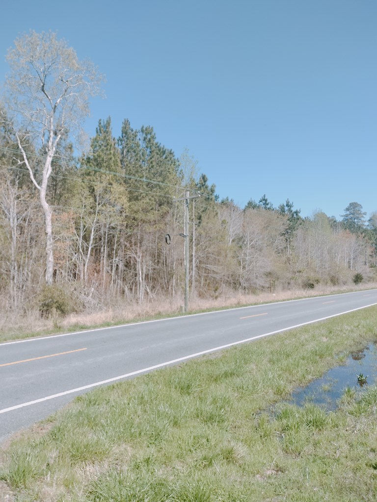 0 Mears Station Road Bloxom, VA 23308 - Photo 2 of 5