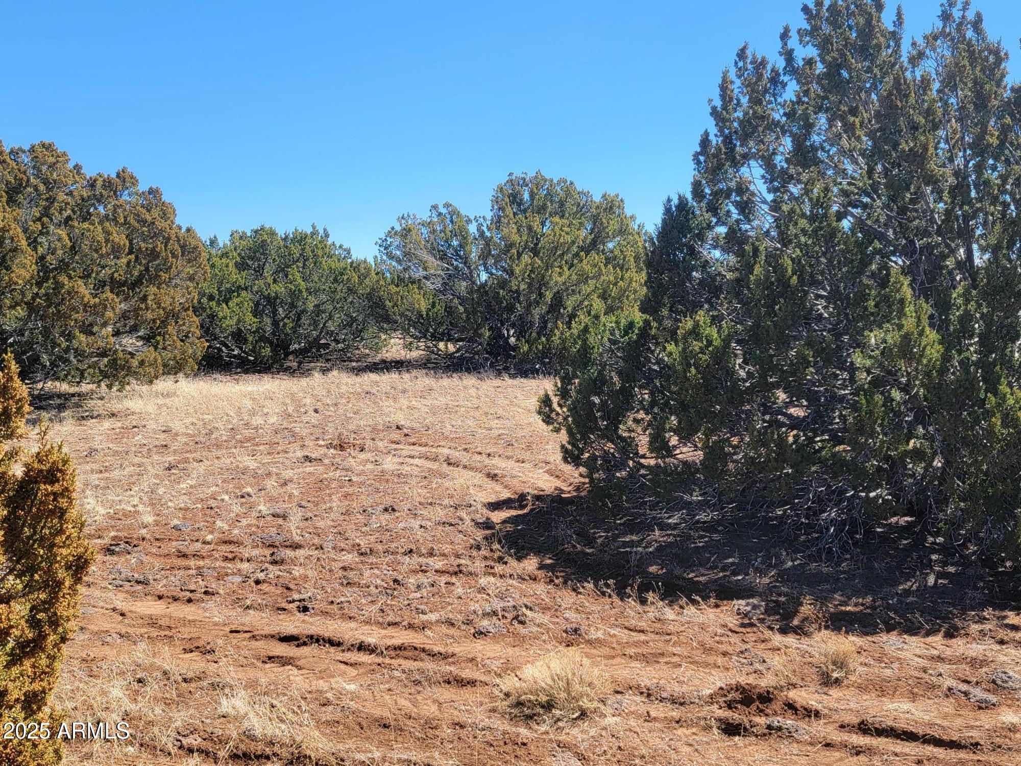 57 County Road Concho, AZ 85924 - Photo 12 of 12