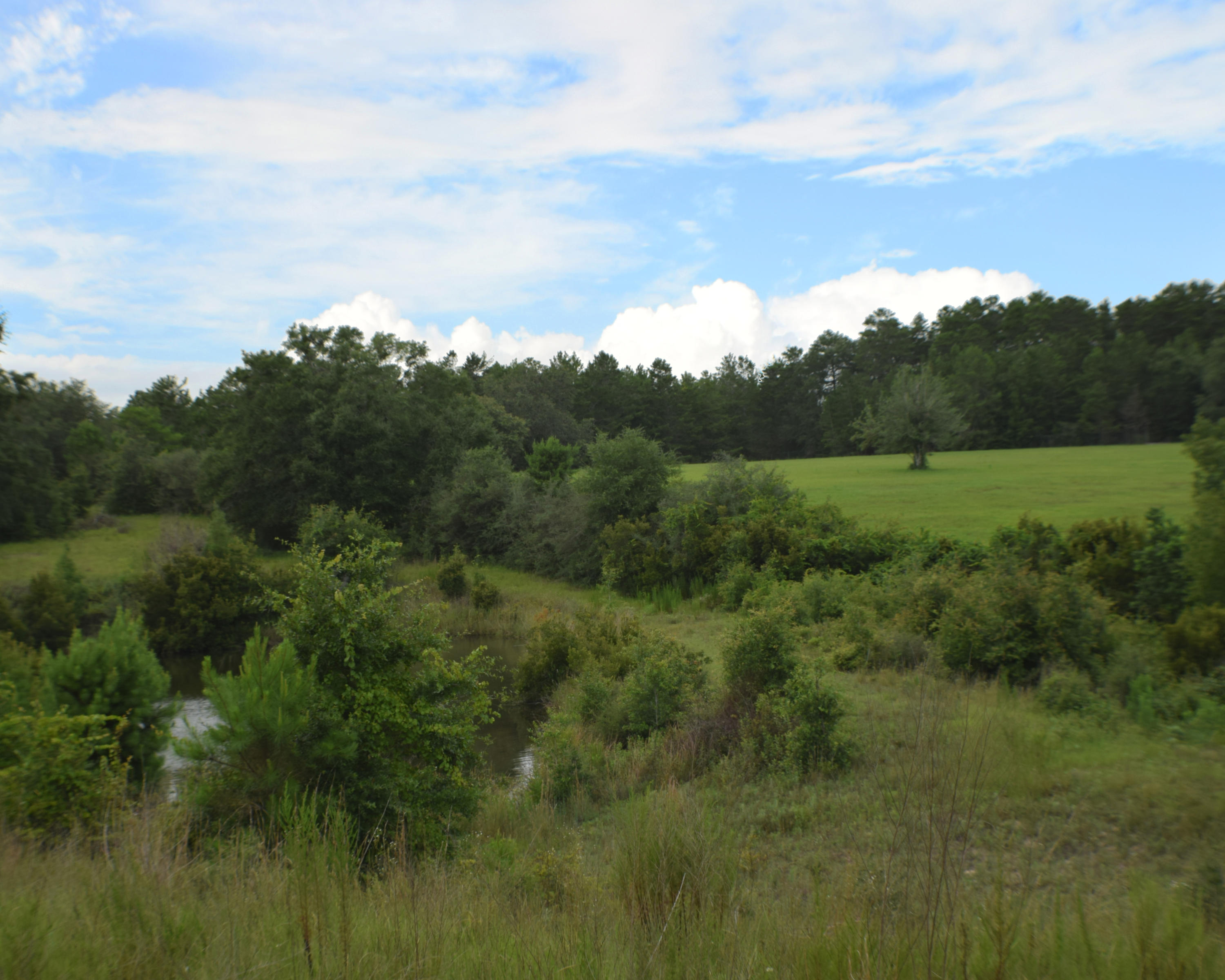 12.23 Acres On Hannah Branch Road Crestview, FL 32539 - Photo 14 of 51 DSC_0032