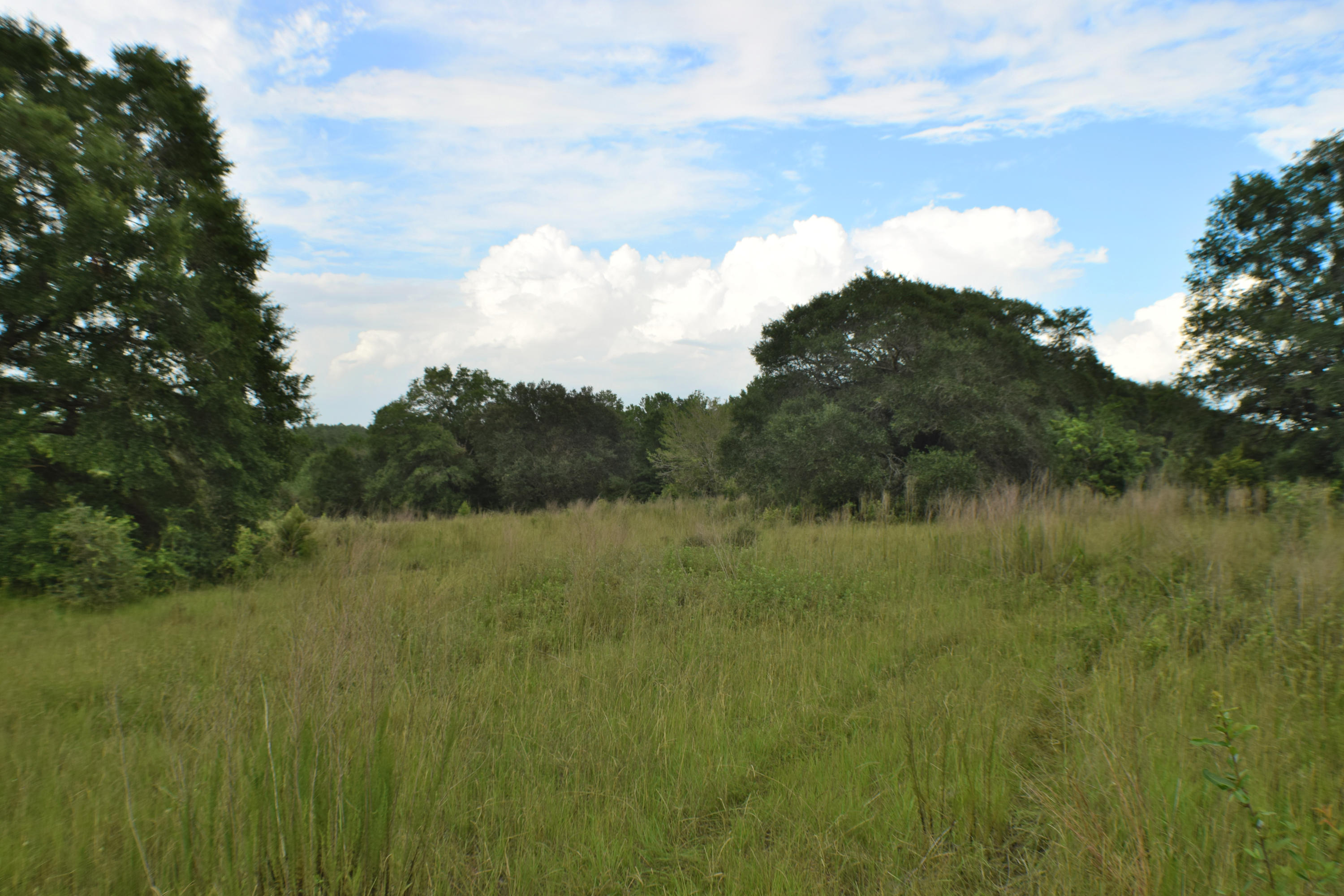 12.23 Acres On Hannah Branch Road Crestview, FL 32539 - Photo 26 of 51 DSC_0065