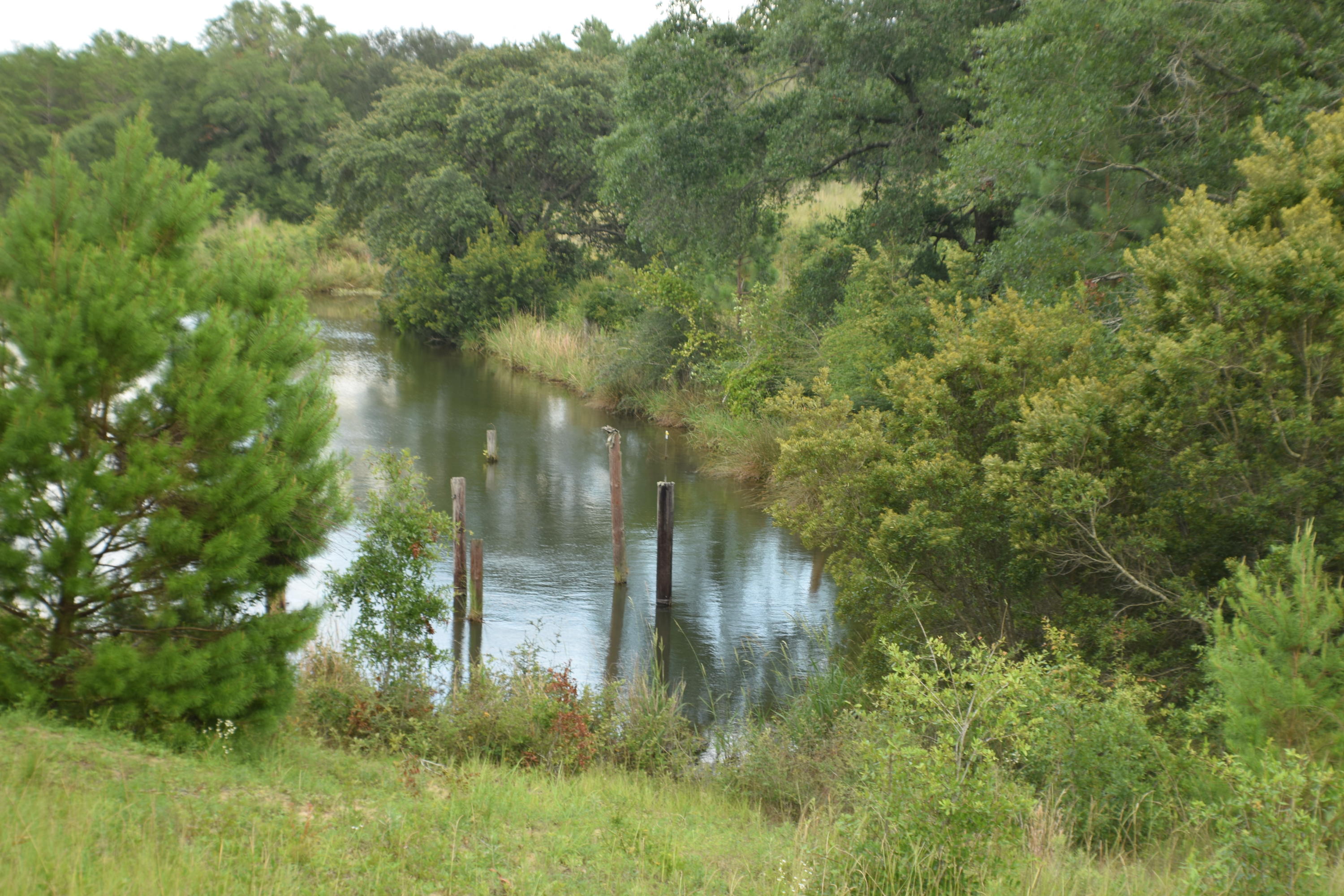 12.23 Acres On Hannah Branch Road Crestview, FL 32539 - Photo 29 of 51 DSC_0072