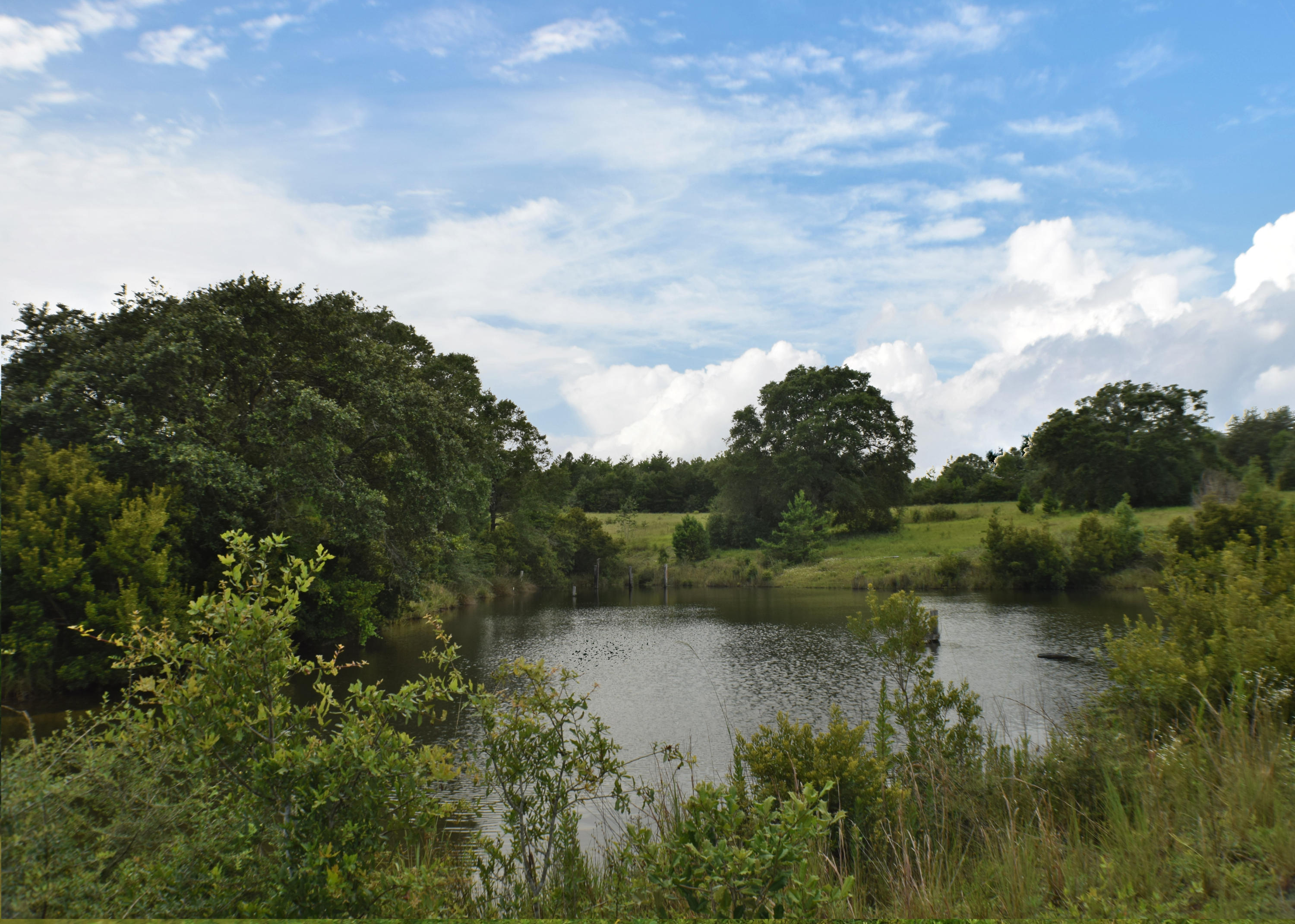 12.23 Acres On Hannah Branch Road Crestview, FL 32539 - Photo 38 of 51 DSC_0090