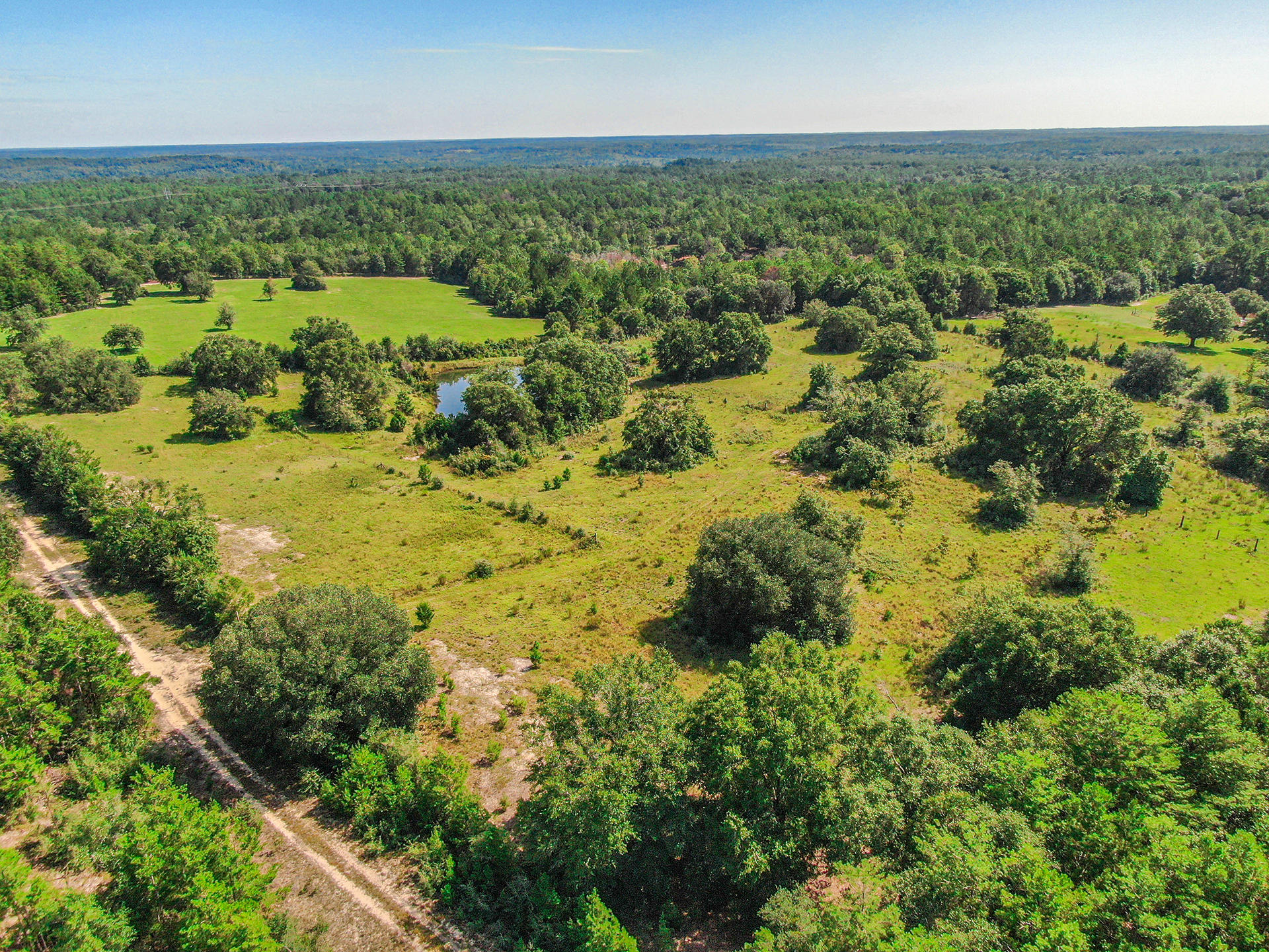 12.23 Acres On Hannah Branch Road Crestview, FL 32539 - Photo 43 of 51 04