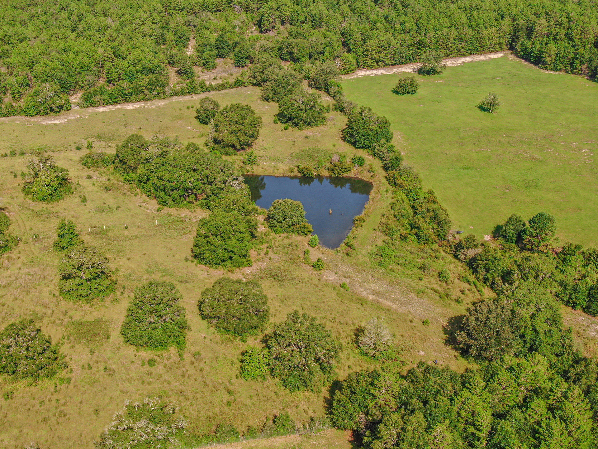 12.23 Acres On Hannah Branch Road Crestview, FL 32539 - Photo 46 of 51 07