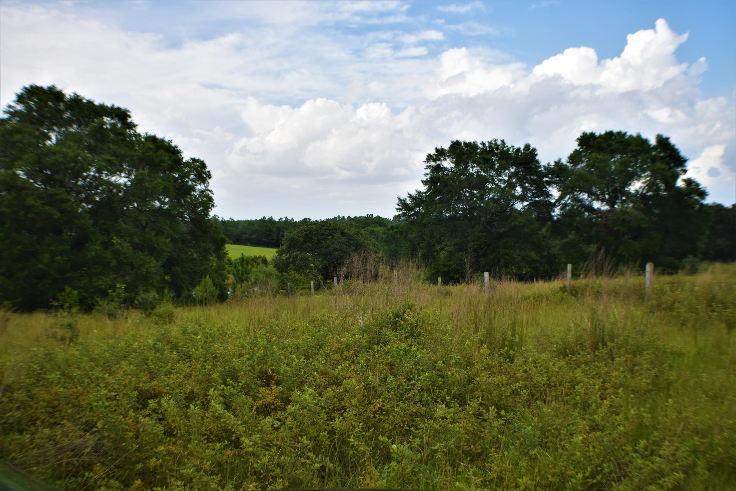 12.23 Acres On Hannah Branch Road Crestview, FL 32539 - Photo 5 of 51 DSC_0017
