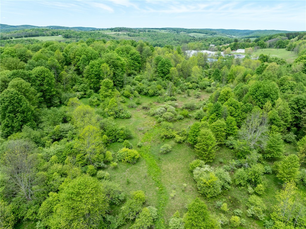 Bell Road New Berlin, NY 13411 - Photo 3 of 11