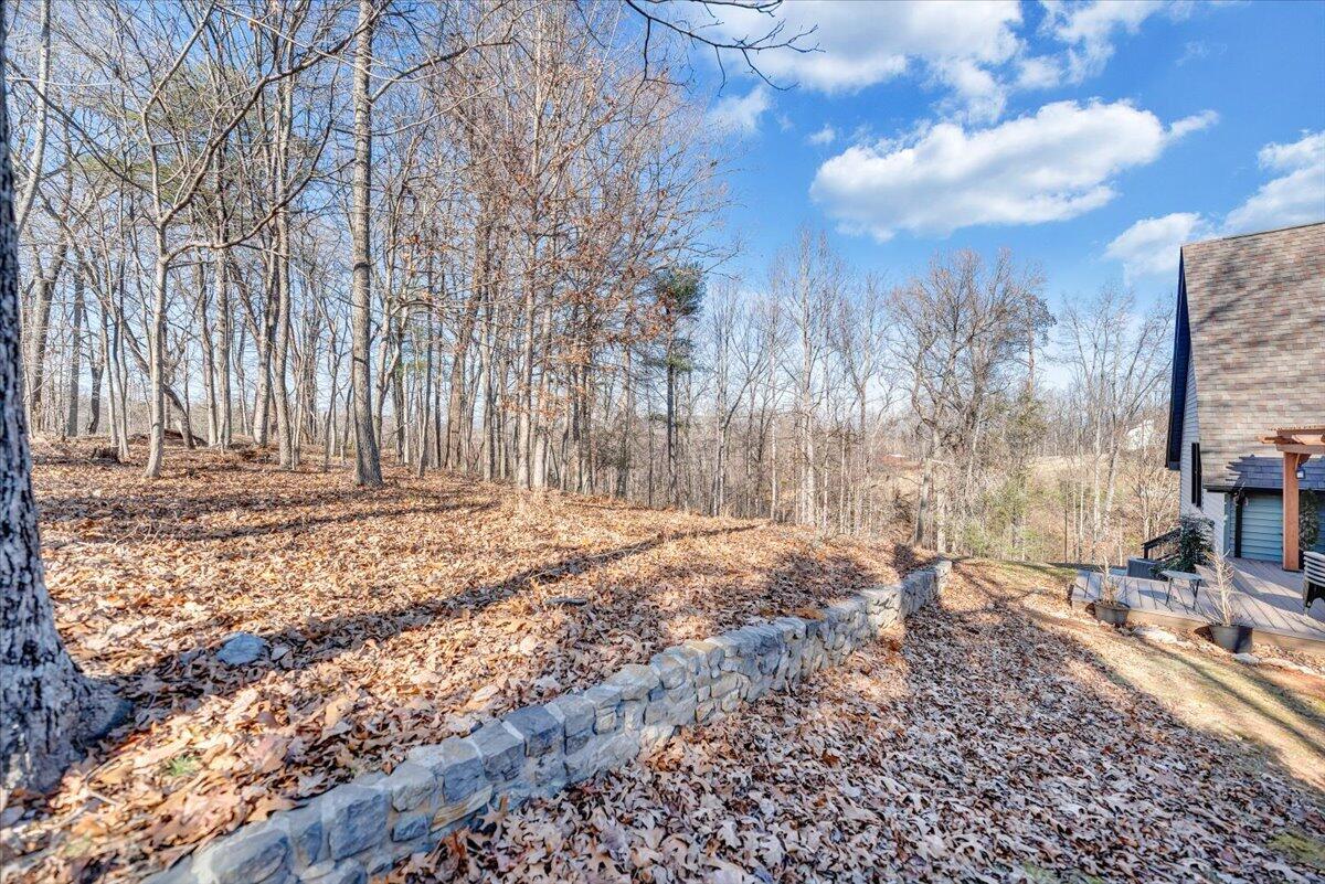 3851 Joppa Mill Road Moneta, VA 24121 - Photo 142 of 143 098-MIB01936