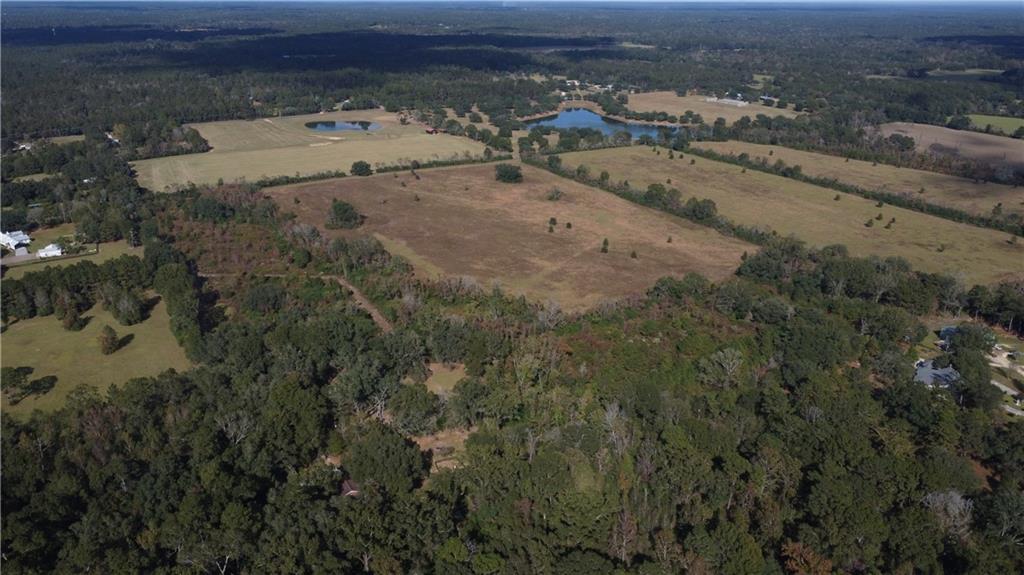 7-acres Heintz Sharp Road Covington, LA 70435 - Photo 2 of 3 Gallery Image 2