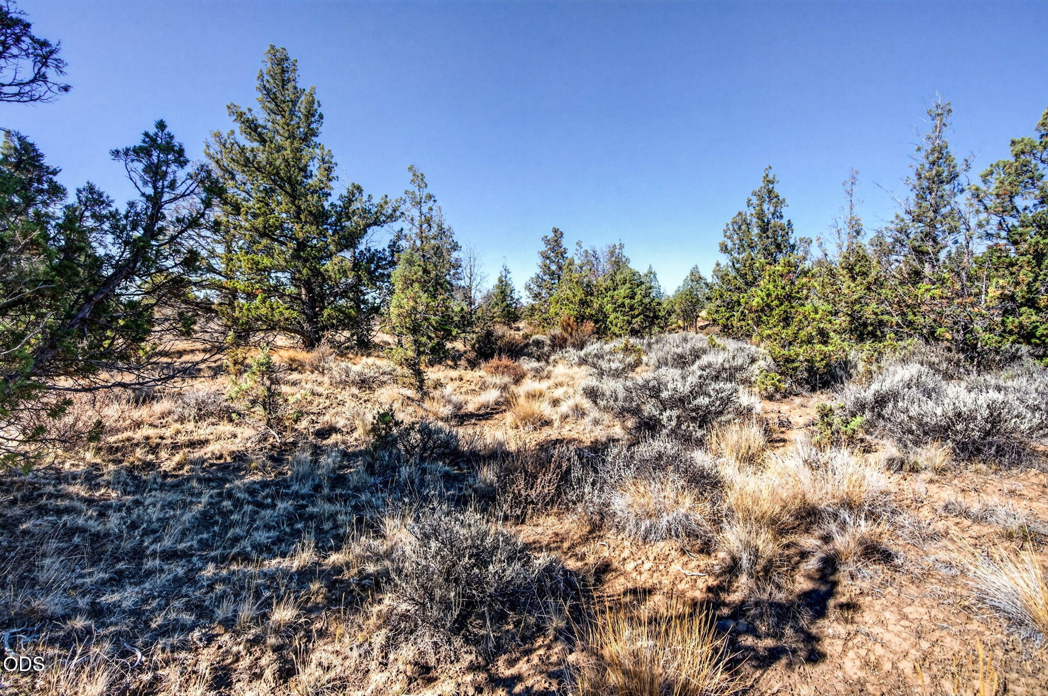 Southeast Laredo Road Prineville, OR 97754 - Photo 7 of 23 Gallery Image 7