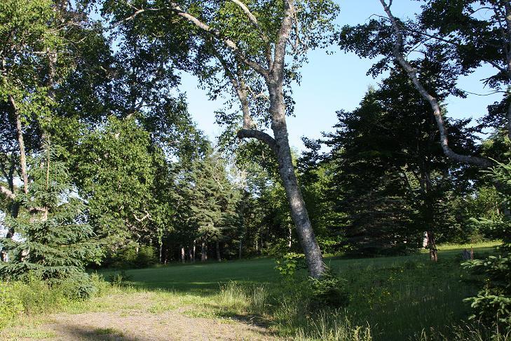 198 Gin Cove Road Perry, ME 04667 - Photo 31 of 46 334