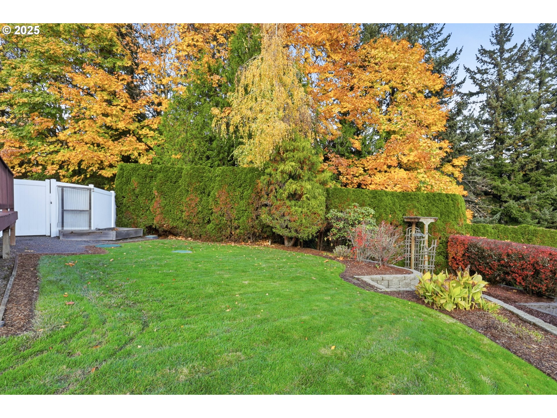 1533 Southwest 7th Circle Camas, WA 98607 - Photo 23 of 27 a view of a backyard with potted plants and large trees