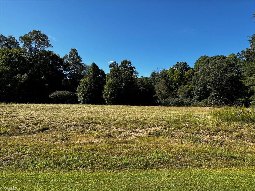 0 John Harger Road Walnut Cove, NC 27052 - Photo 1 of 6 Gallery Image 1