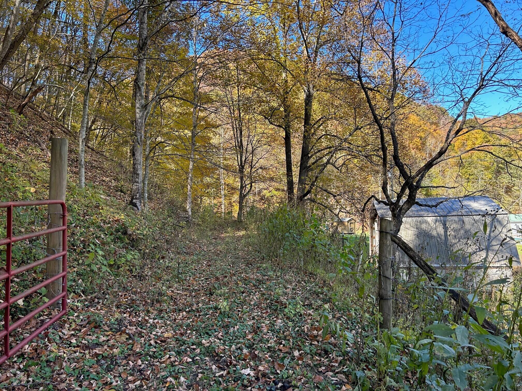 42 Snake Run Road Rainelle, WV 25962 - Photo 25 of 28 Gallery Image 25