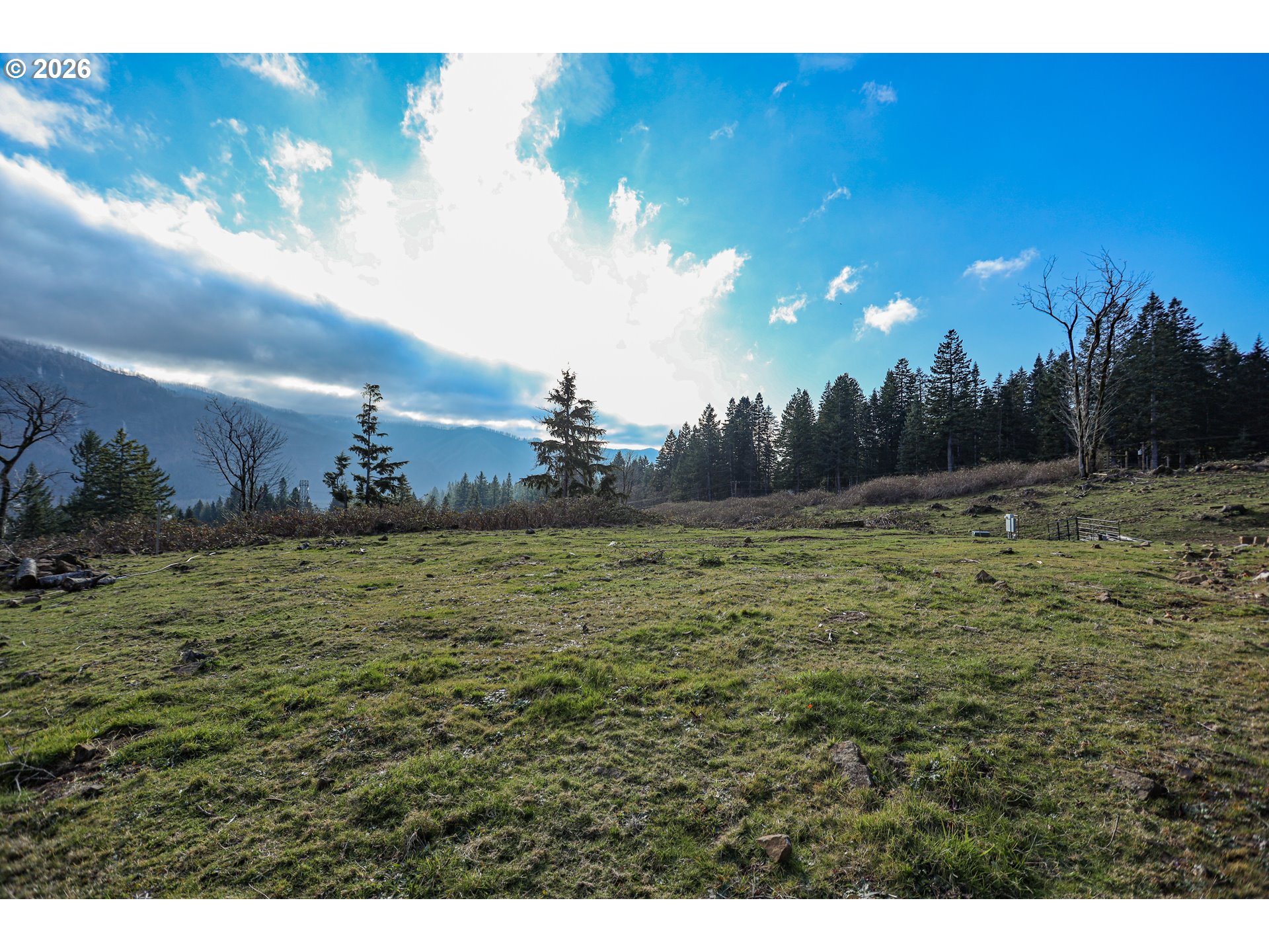 562 Woodard Creek Road Stevenson, WA 98648 - Photo 15 of 33