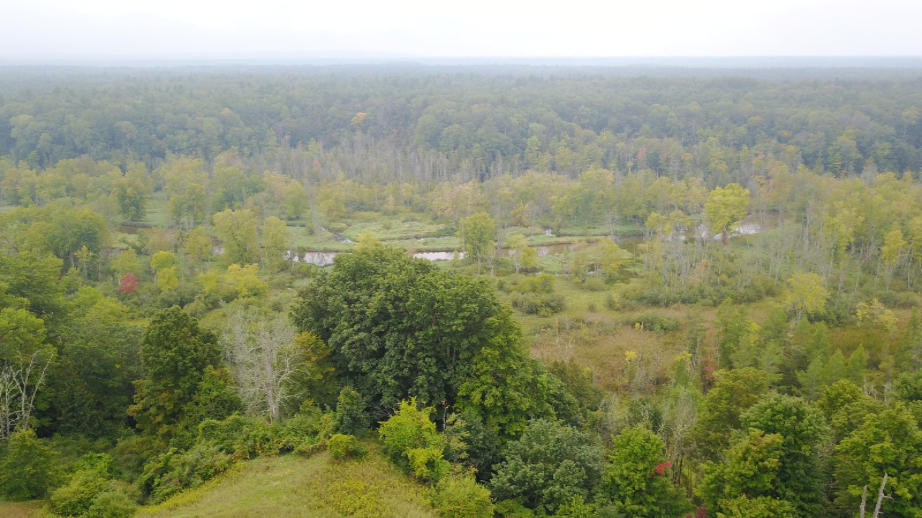 3675 Farnsworth Road Brethren, MI 49619 - Photo 1 of 15 org_da157a18746bdaba_1505402174000