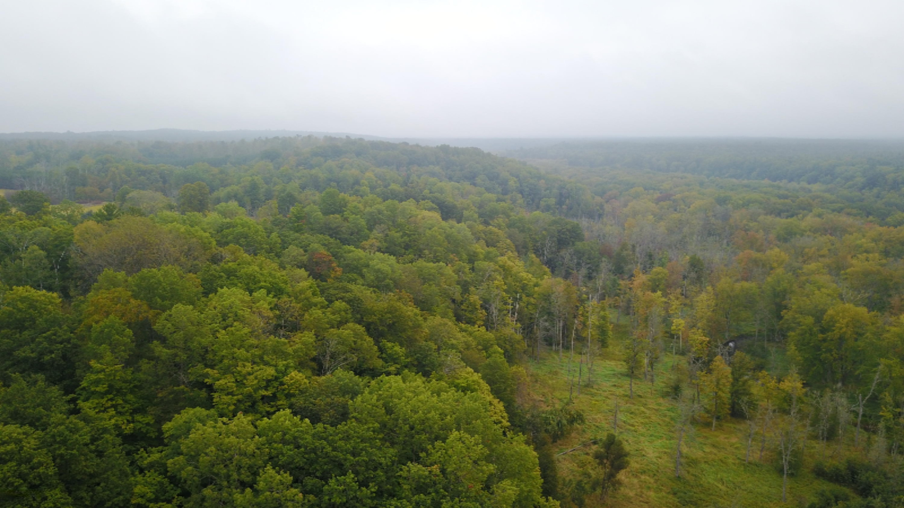 3675 Farnsworth Road Brethren, MI 49619 - Photo 3 of 15 org_c20eee03ecebb34e_1505402185000