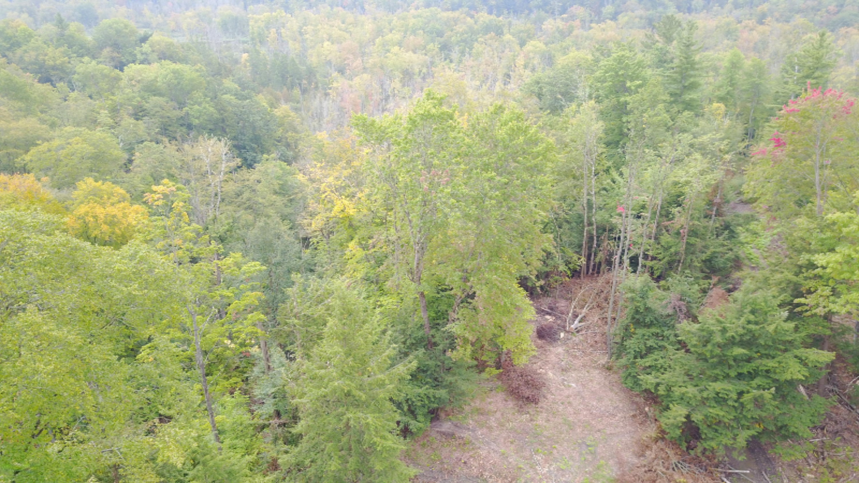 3675 Farnsworth Road Brethren, MI 49619 - Photo 7 of 15 org_187b26f77ff61b78_1505402668000
