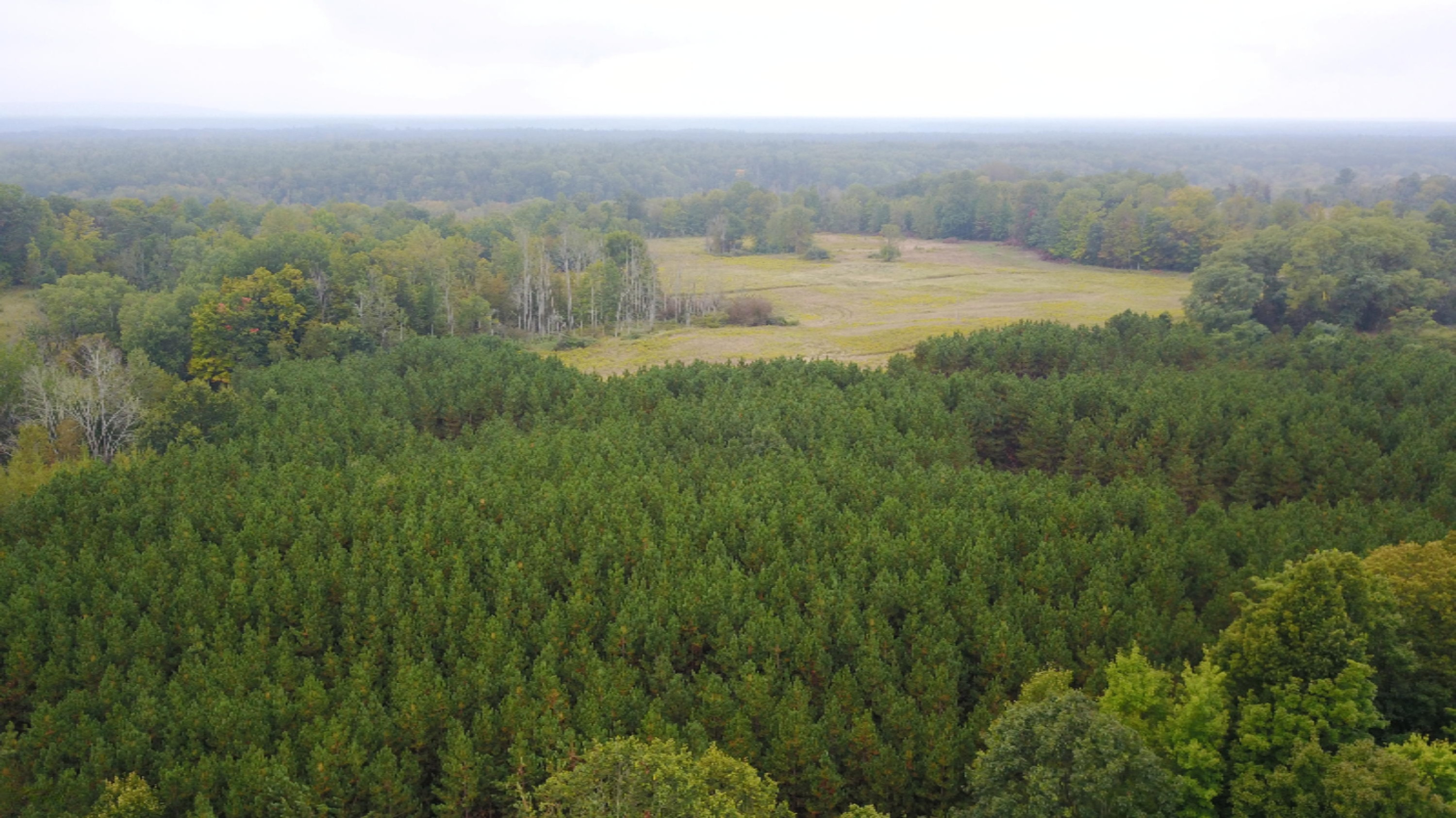 3675 Farnsworth Road Brethren, MI 49619 - Photo 9 of 15 org_34b5c50fcde535ea_1505403136000
