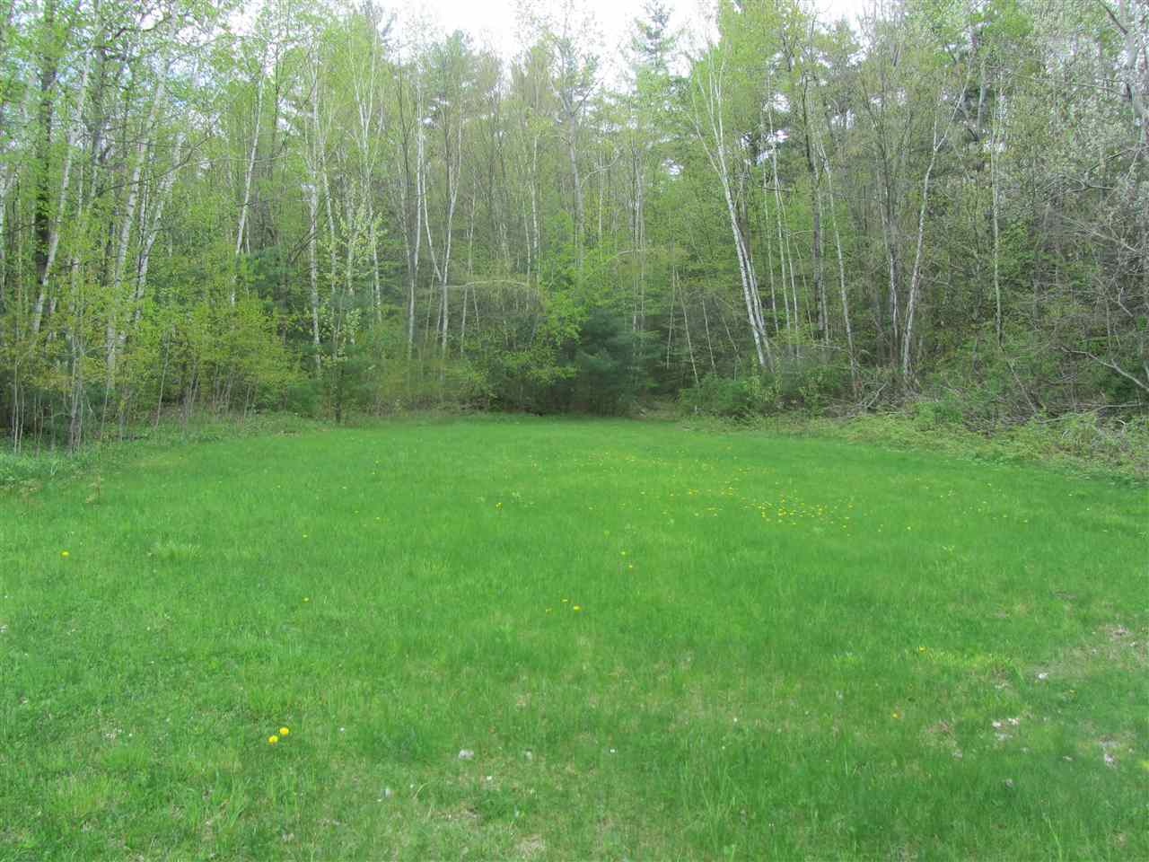 100 Oak Ridge Drive Rutland Town, VT 05701 - Photo 5 of 12