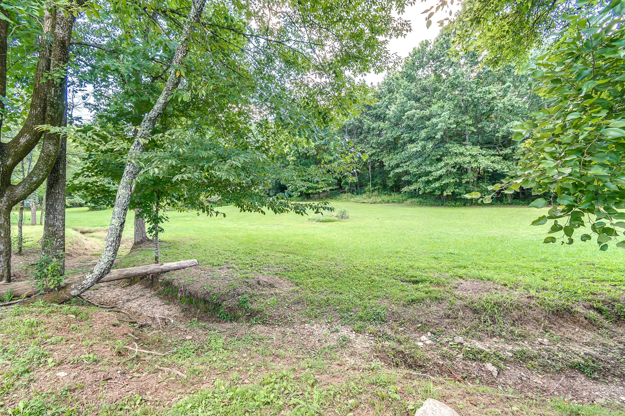 1362 Webb Road Lewisburg, TN 37091 - Photo 36 of 39 Gallery Image 36