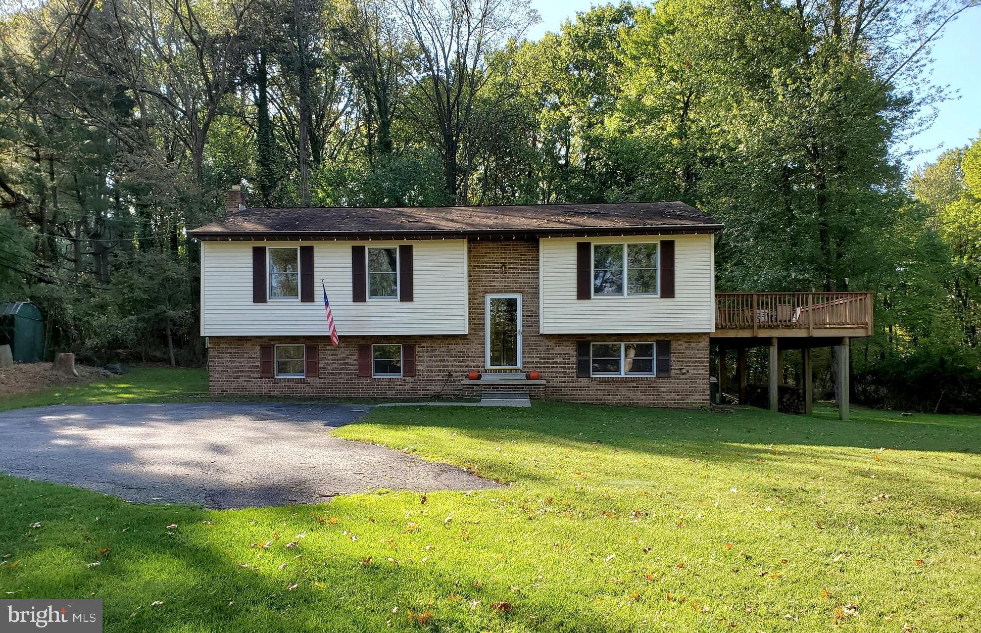 a view of a house with a yard potted plants and a large tree