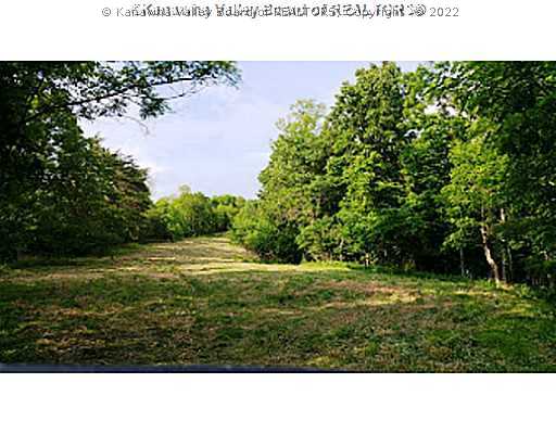 0 North Ridge Road Sandyville, WV 25275 - Photo 13 of 16 Land.