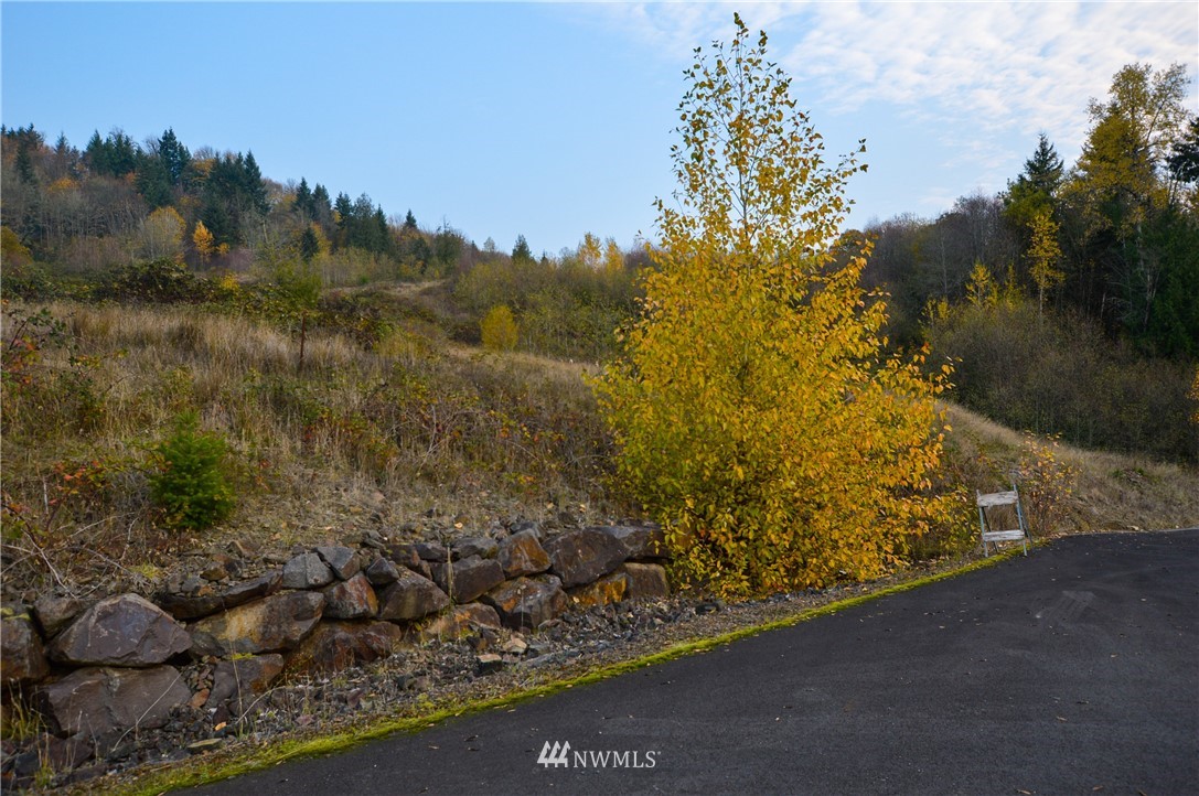 191 Windy River Road Kalama, WA 98625 - Photo 1 of 5 Gallery Image 1