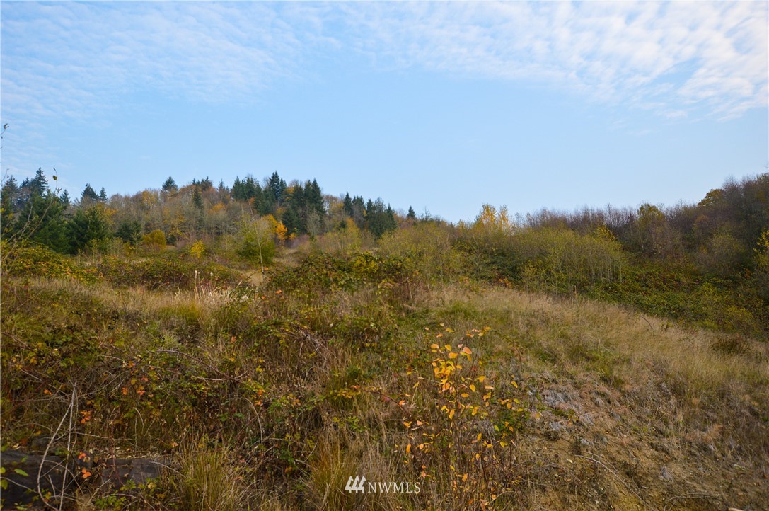 191 Windy River Road Kalama, WA 98625 - Photo 2 of 5 Gallery Image 2