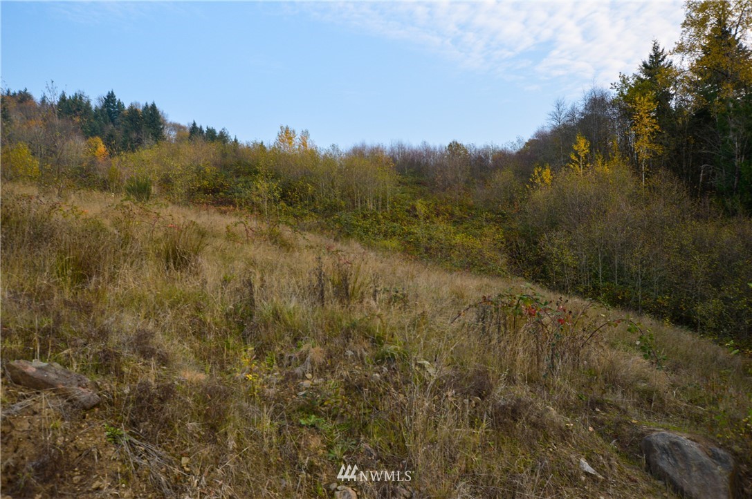 191 Windy River Road Kalama, WA 98625 - Photo 4 of 5 Gallery Image 4