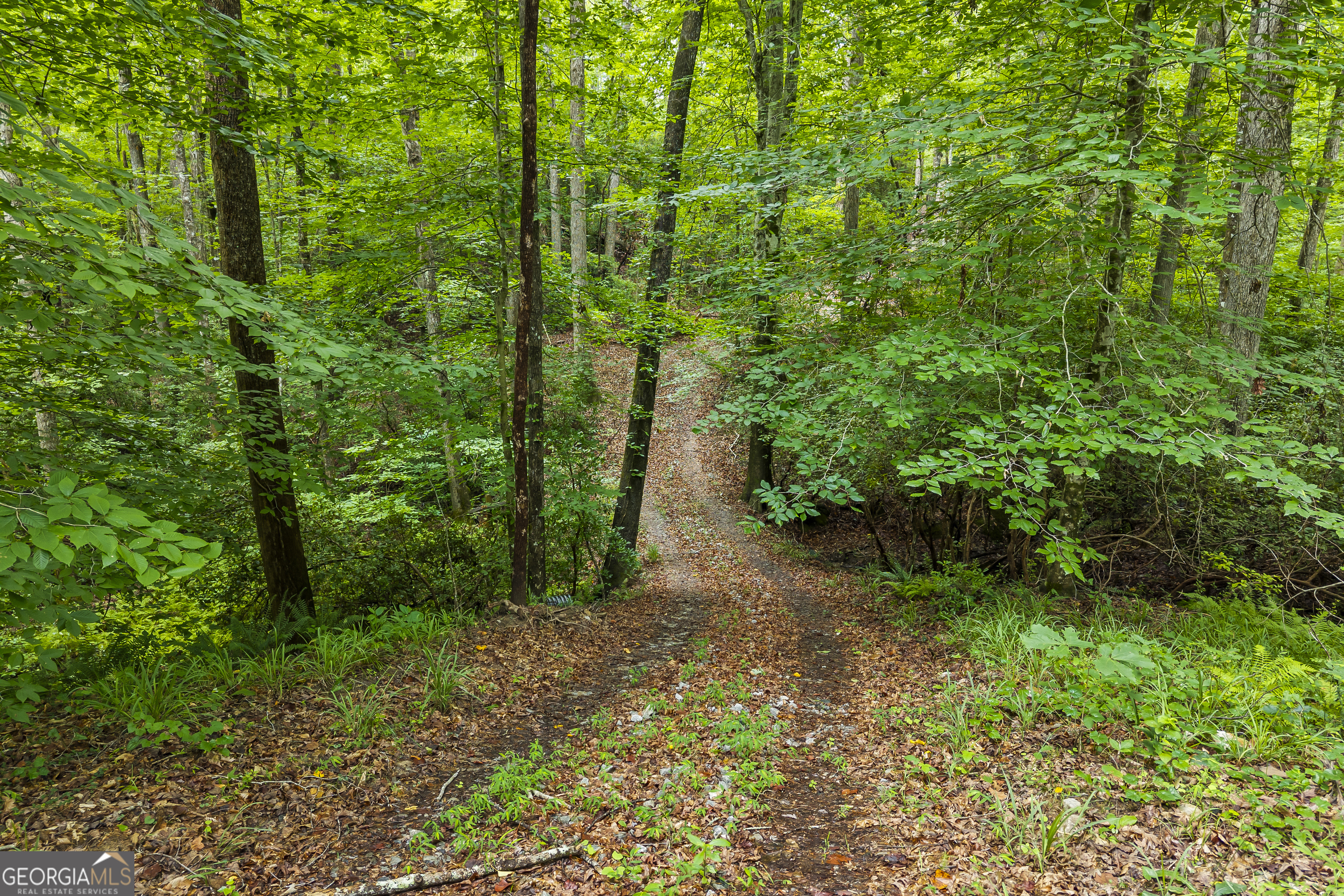 3014 Prather Bridge Road Toccoa, GA 30577 - Photo 65 of 100