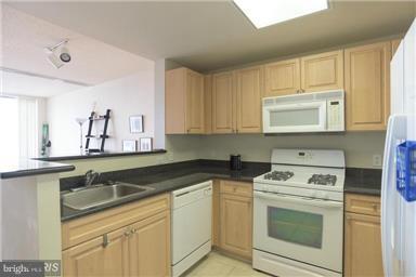 2726 Gallows Road, Unit 1001 Vienna, VA 22180 - Photo 10 of 18 Interior (General)