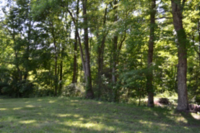 318 Rock Springs Road Celina, TN 38551 - Photo 36 of 87