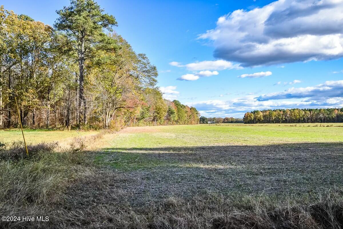 0 Crooked Run Road Elizabeth City, NC 27909 - Photo 4 of 13 tempImagemoWjKn