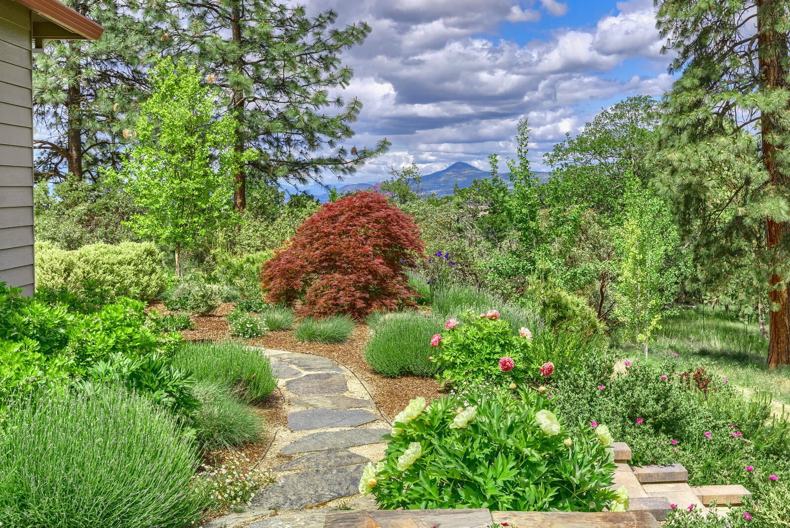 8696 Yank Gulch Road Talent, OR 97540 - Photo 55 of 60 21_YGR_21_mls