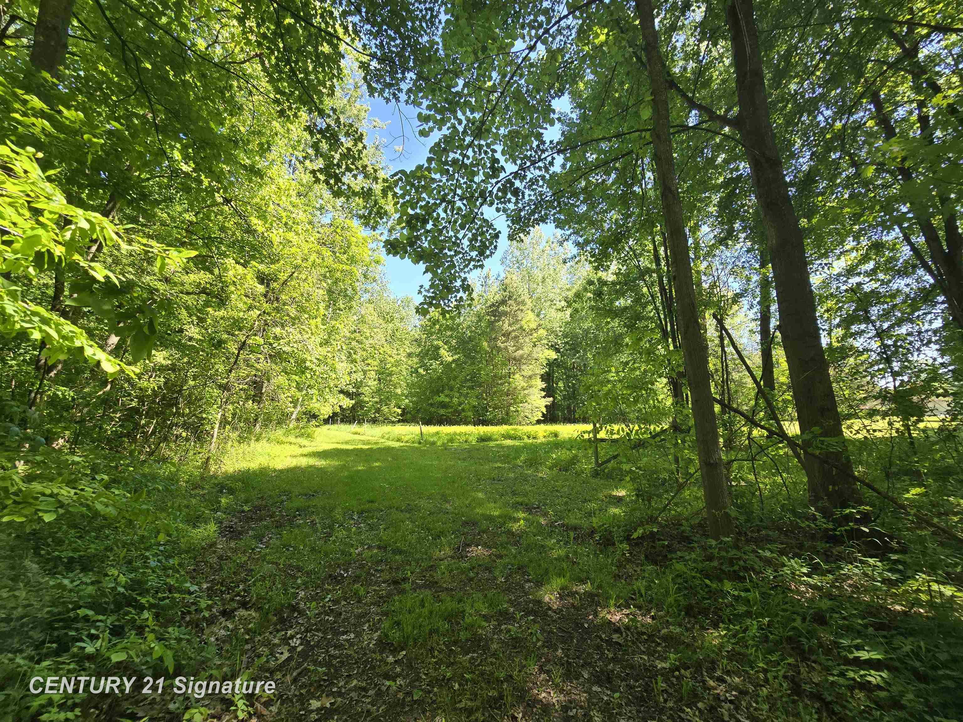 1162 East Farrand Road Clio, MI 48420 - Photo 58 of 88