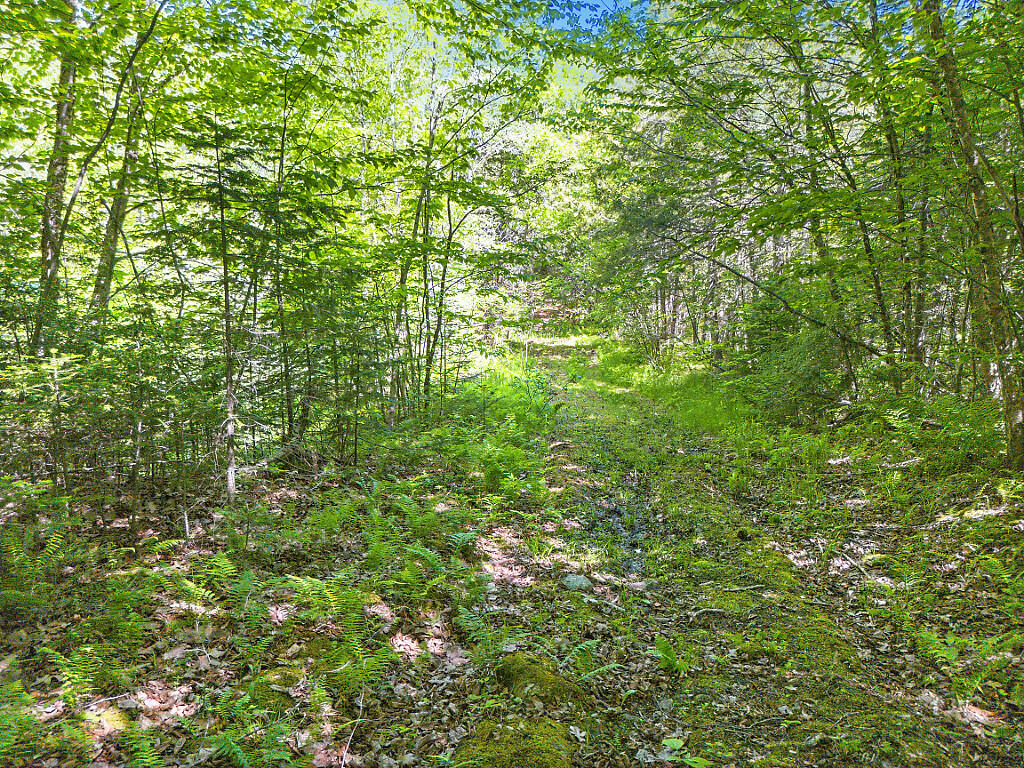 544 Whitefield Road Pittston, ME 04345 - Photo 66 of 78