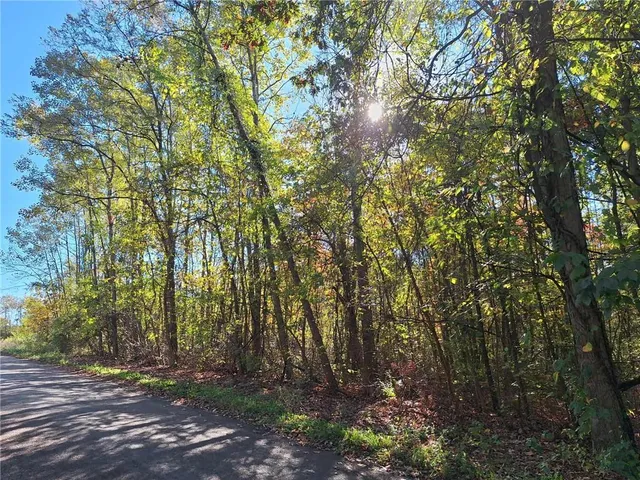 a view of outdoor space and a yard